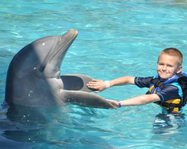 Dolphin Island