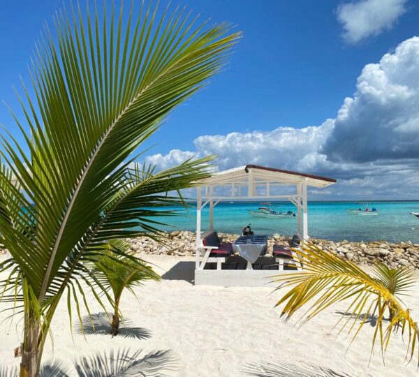 Saona Island & Mano Juan