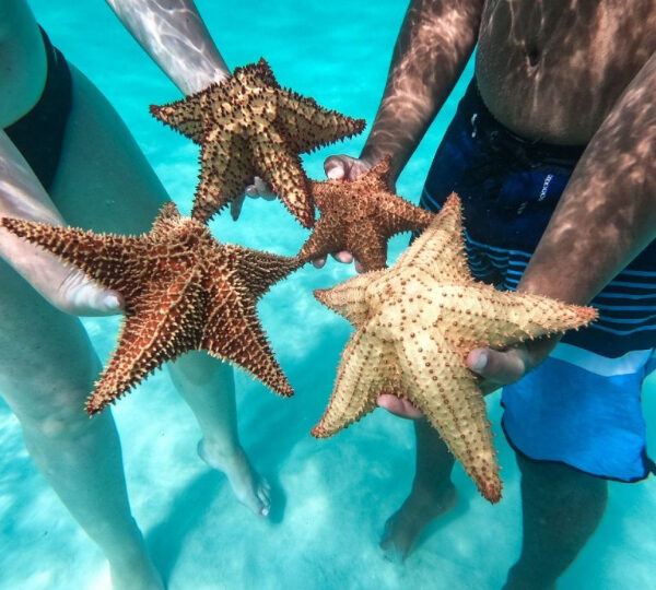Saona Island